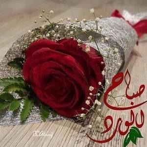 Meet your Posher, Lukey